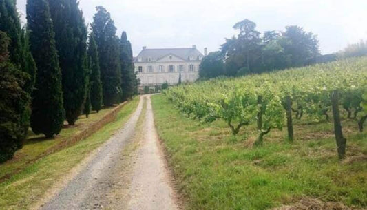Demystifying the Complexities of Buying Vegan, Organic, or Biodynamic Wines - www.absoluteorganicwine.com