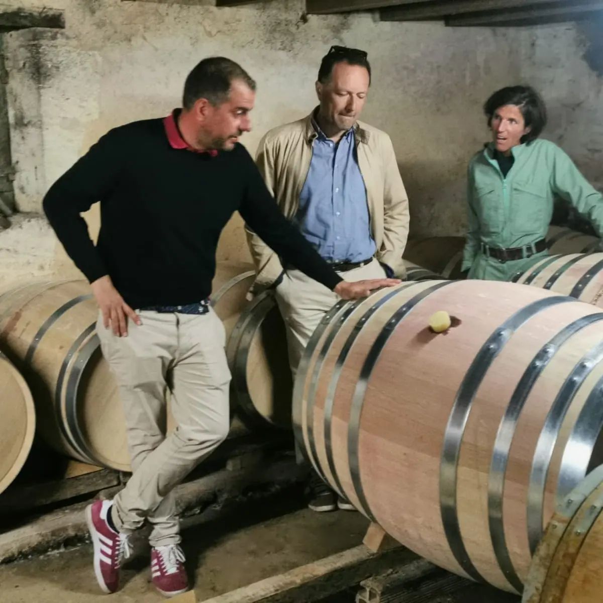 Vignobles Bourceau Organic Merlot 2022
Organic and Vegan Red Wine