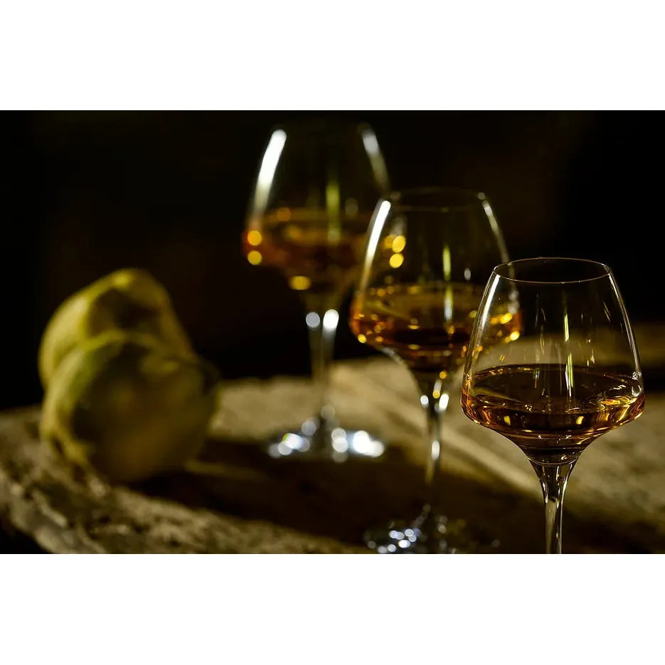 Domaine Sergent, Les Noyers - Madiran Red 2022 - www.absoluteorganicwine.com