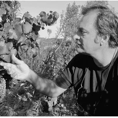 Domaine Duseigneur Matteo Châteauneuf du Pape - red wine Northern Ireland www.absoluteorganicwine.com