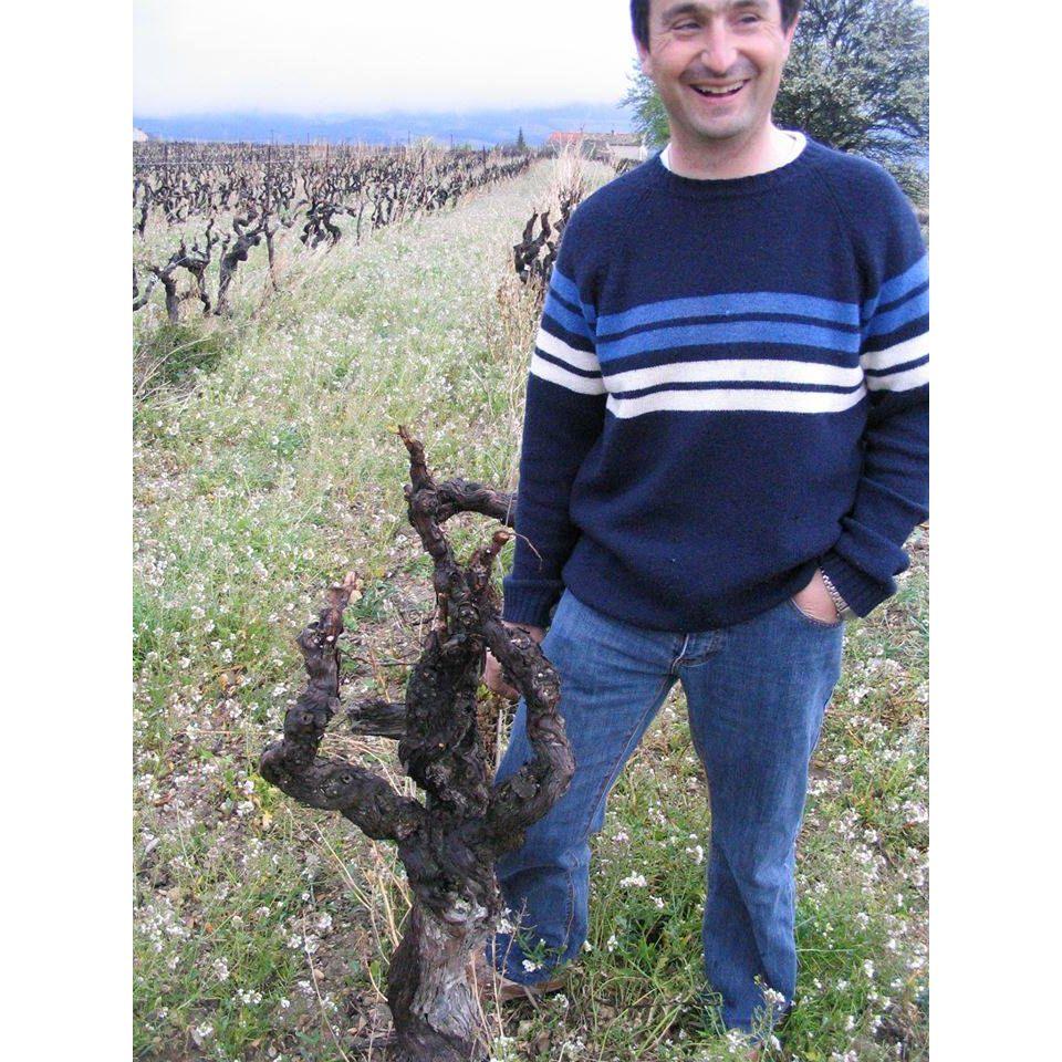 Domaine Guintrandy Hermitage - red wine Northern Ireland www.absoluteorganicwine.com