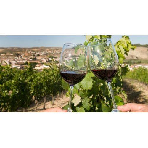 Rioja Crianza, Antoñita Tempranillo 2019 - organic red wine online northern Ireland - www.absoluteorganicwine.com
