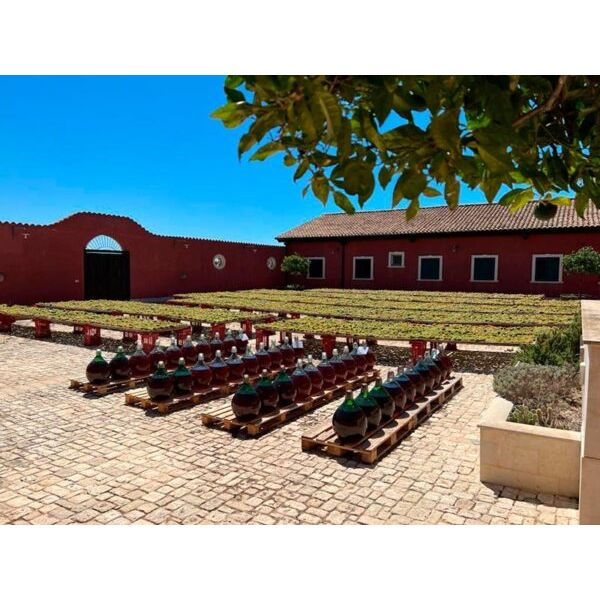 The wines maturing in the sun at Marabino Soleggiato Perpetuo