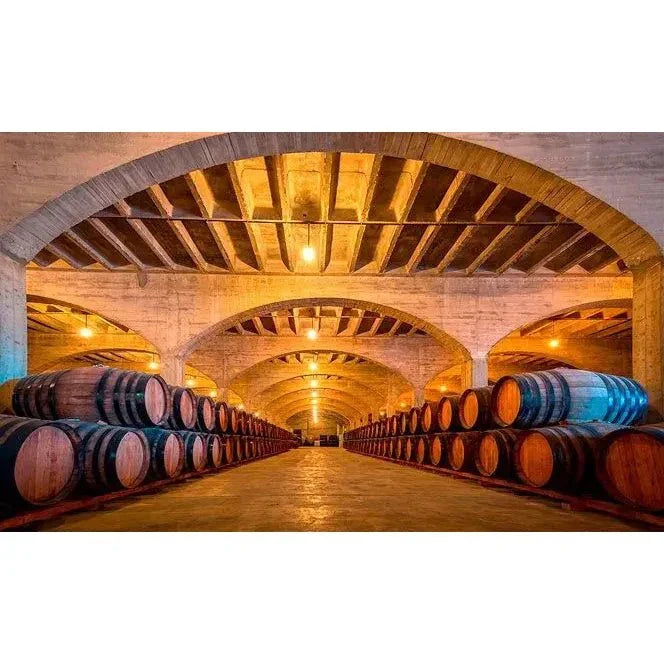 Fonseca Terra Prima Finest Reserve Organic & Vegan Port - Absolute Organic Wine