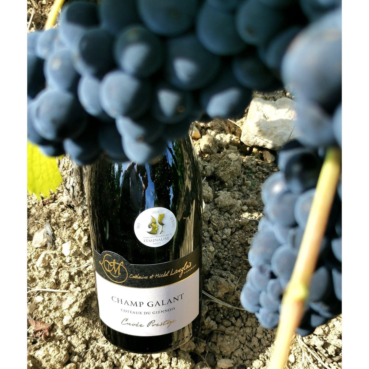 Champ Galant, Domaine Langlios - www.absoluteorganicwine.com