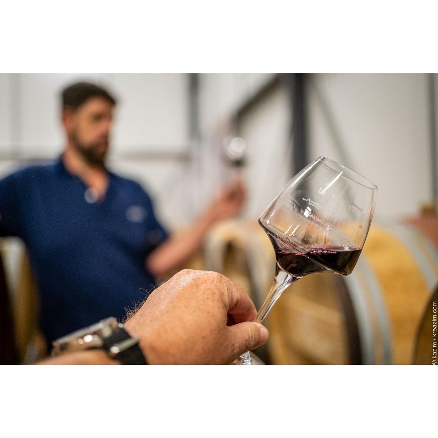 Galop D'essai, Saumur Champigny La Seigneuri - www.absoluteorganicwine.com