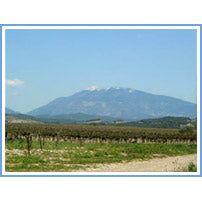 Gigondas, Domaine La Guintrandy - www.absoluteorganicwine.com