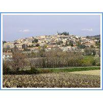 Suze La Rousse, Domaine Gruintrandy - www.absoluteorganicwine.com