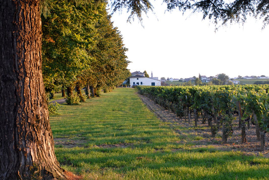 Château Belles-Graves