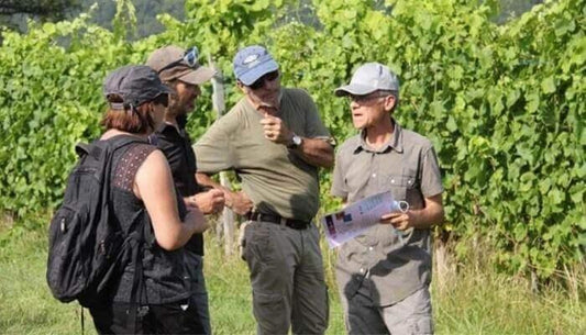 Biodynamic Wine - Absolute Organic Wine