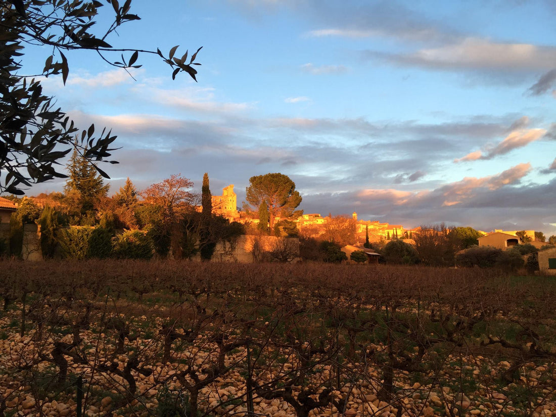 Châteauneuf-du-Pape - Absolute Organic Wine