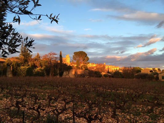 Châteauneuf-du-Pape - Absolute Organic Wine