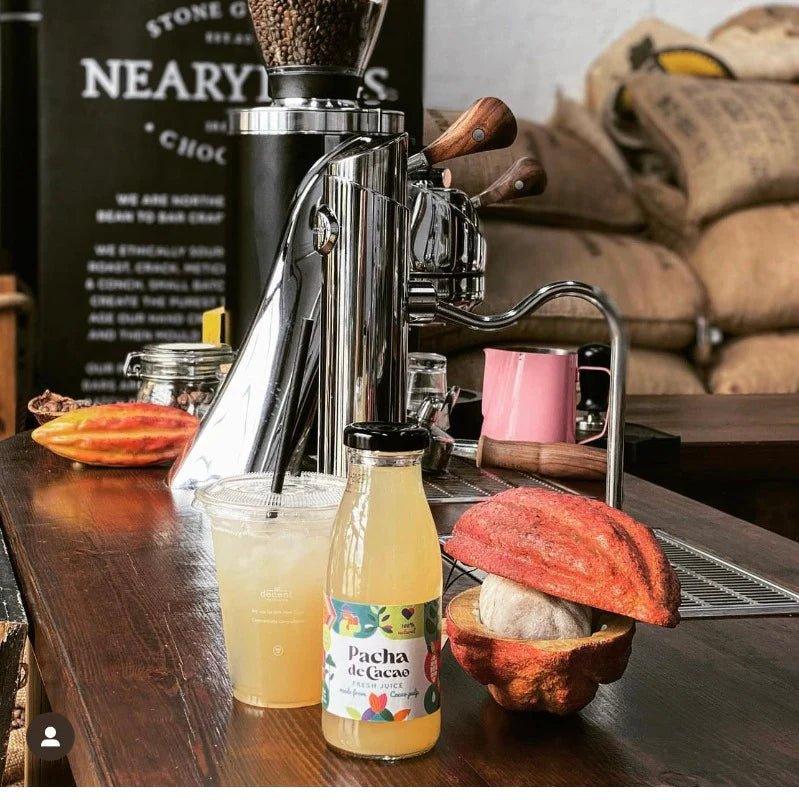 "Pacha de Cacao: The Amazon's Delicious Secret – Now Available at Absolute Organic Wine - Absolute Organic Wine