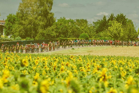 The Tour De France and Bora PIWI Organic Wine - www.absoluteorganicwine.com
