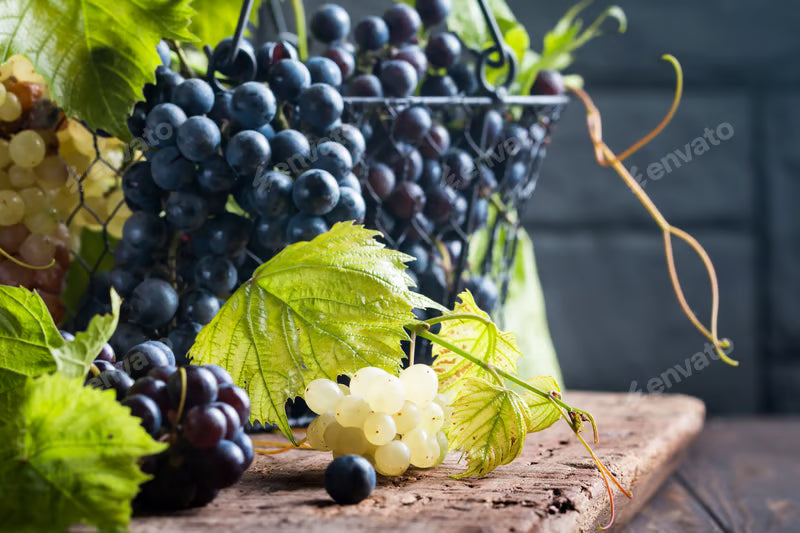 Nebbiolo