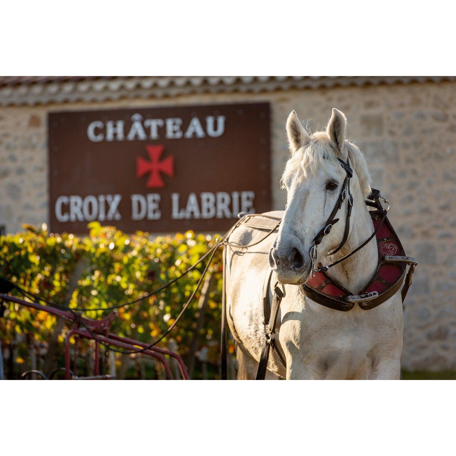 2020 Chateau Croix de Labrie, Saint-Emilion Grand Cru, France-www.absoluteorganicwine.com