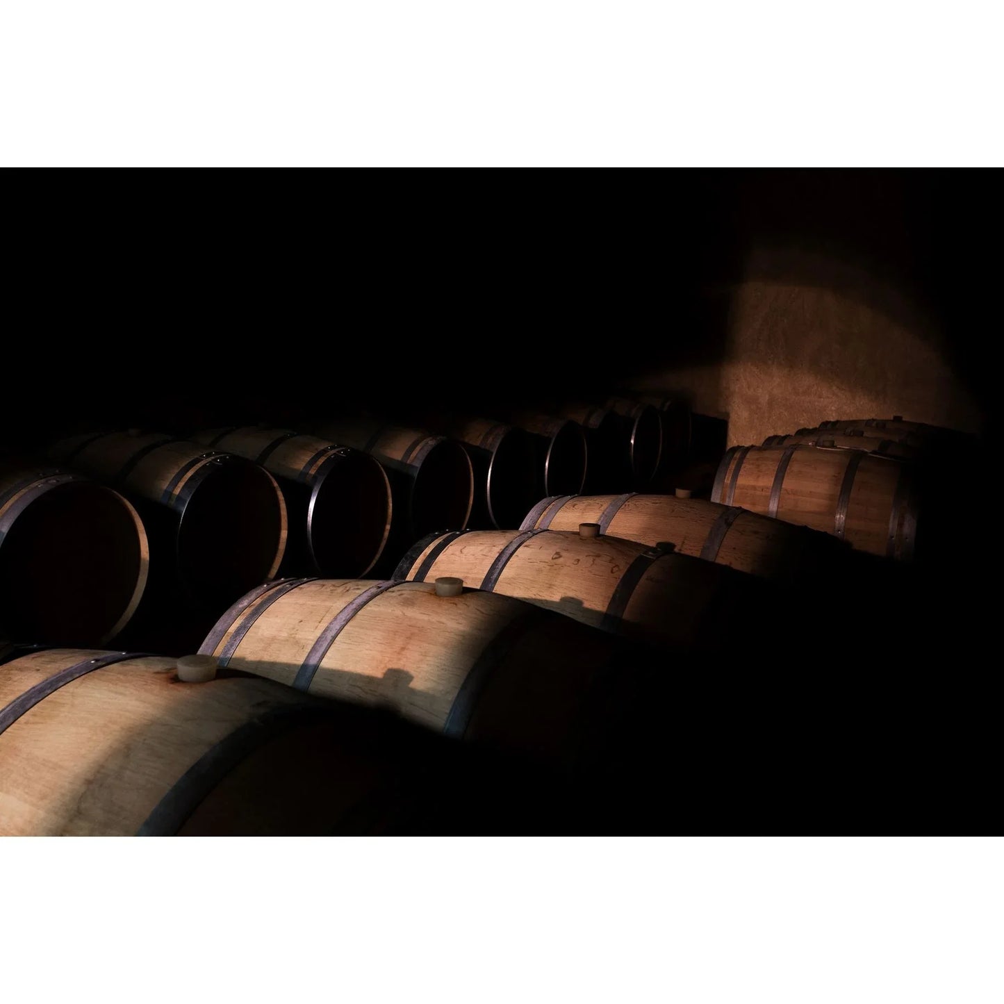 Domaine Terres d'Hachène Zénite Blanc 2024 - Absolute Organic Wine 