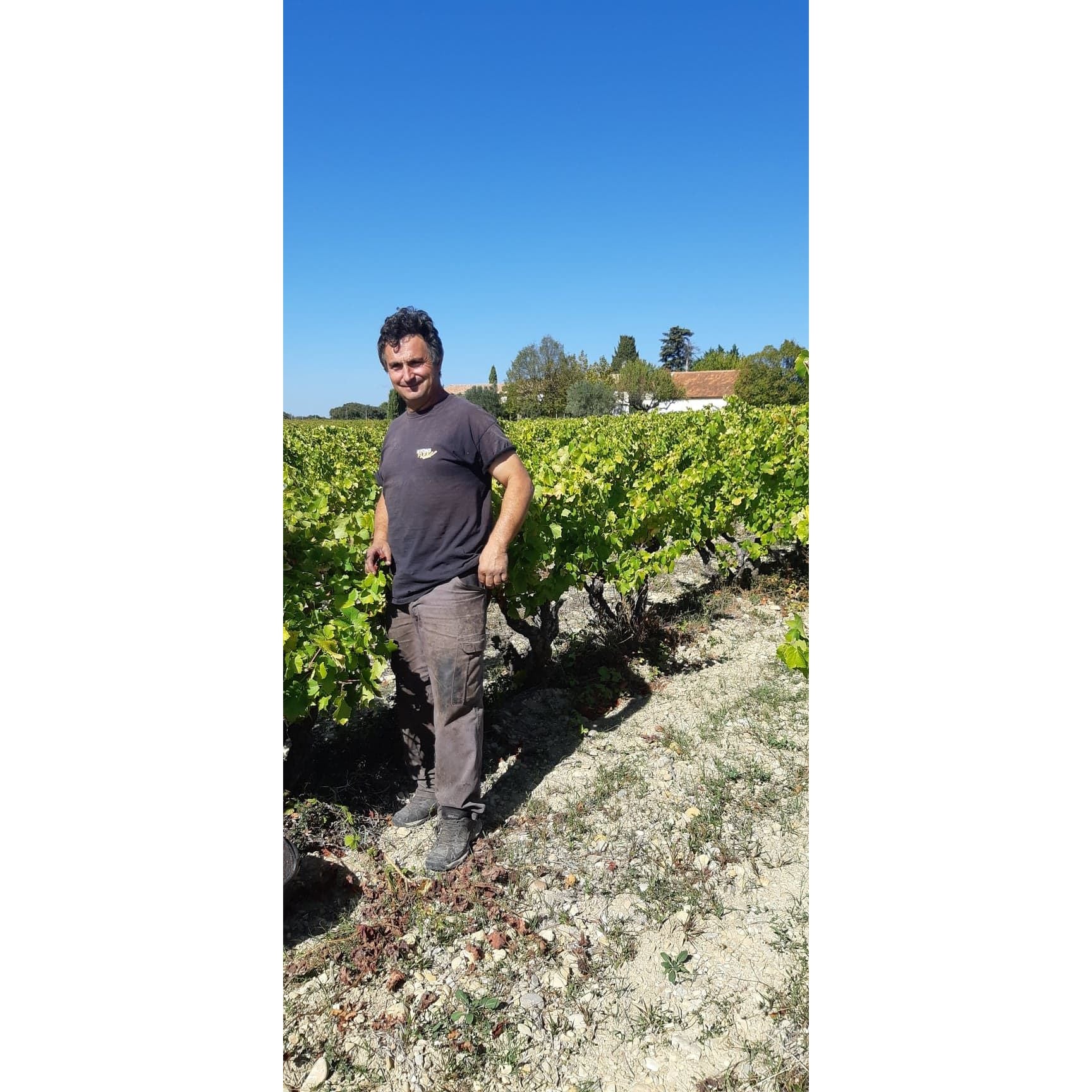 Domaine la Guintrandy Côtes du Rhône Rosé 2023
Organic and Vegan Rosé Wine