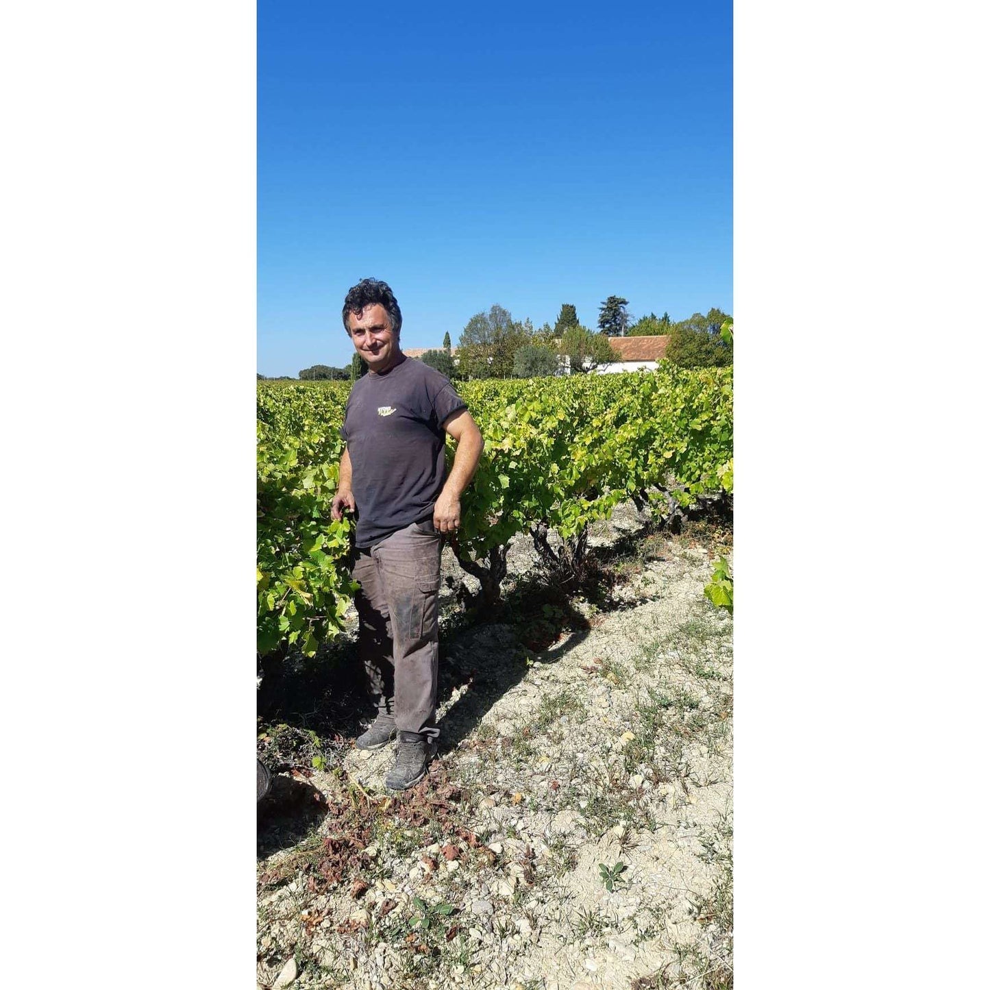 Domaine la Guintrandy Côtes du Rhône Rosé 2023
Organic and Vegan Rosé Wine