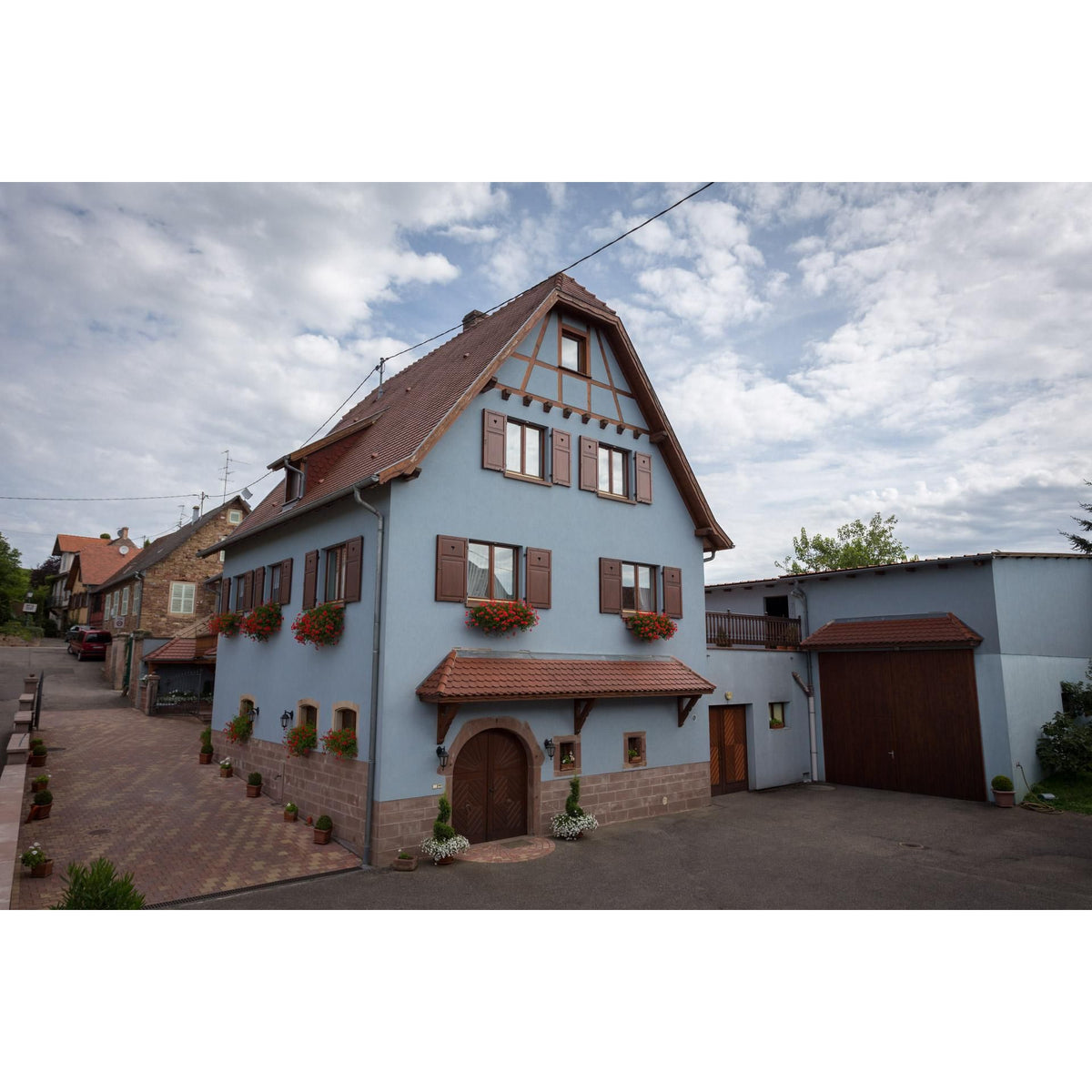 Alsace Wine Discovery: 6 - Bottle Case with Free Delivery - Absolute Organic Wine