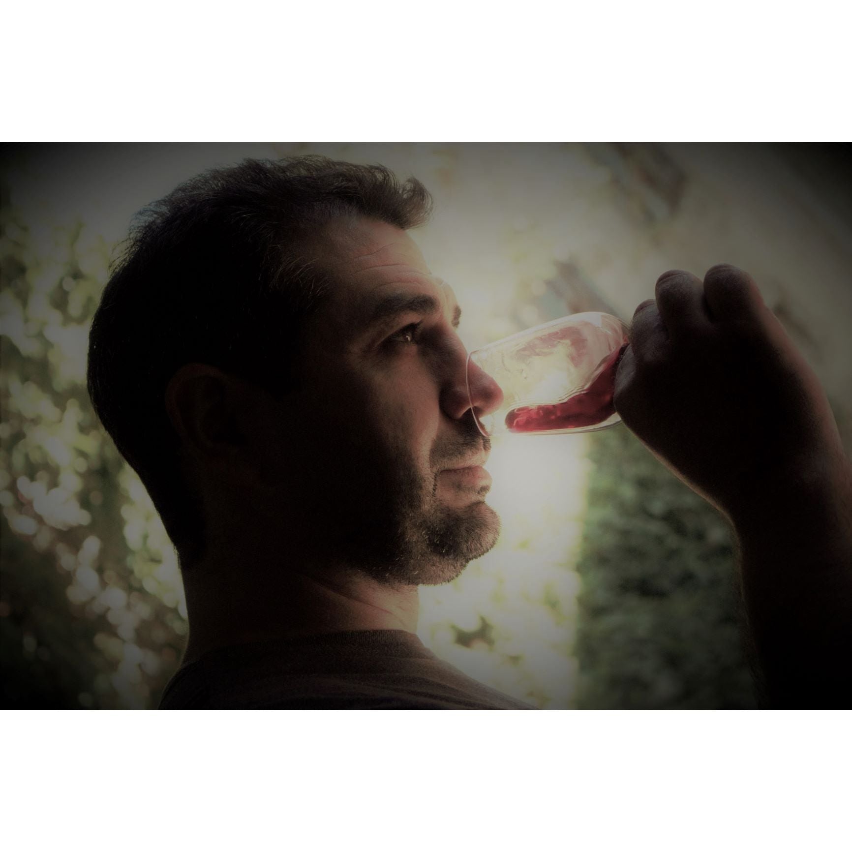 Domaine Lérys Fitou Saint Vincent 2022
Organic and Vegan Red Wine