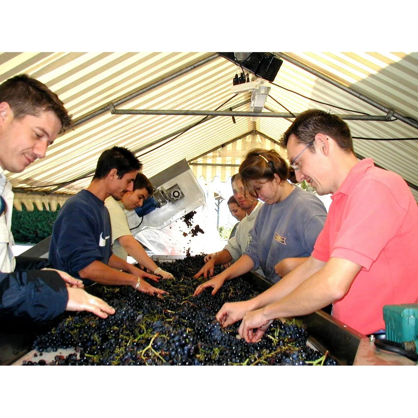 Bellegraves Lalande De Pomerol Terrasses 2015 - Absolute Organic Wine