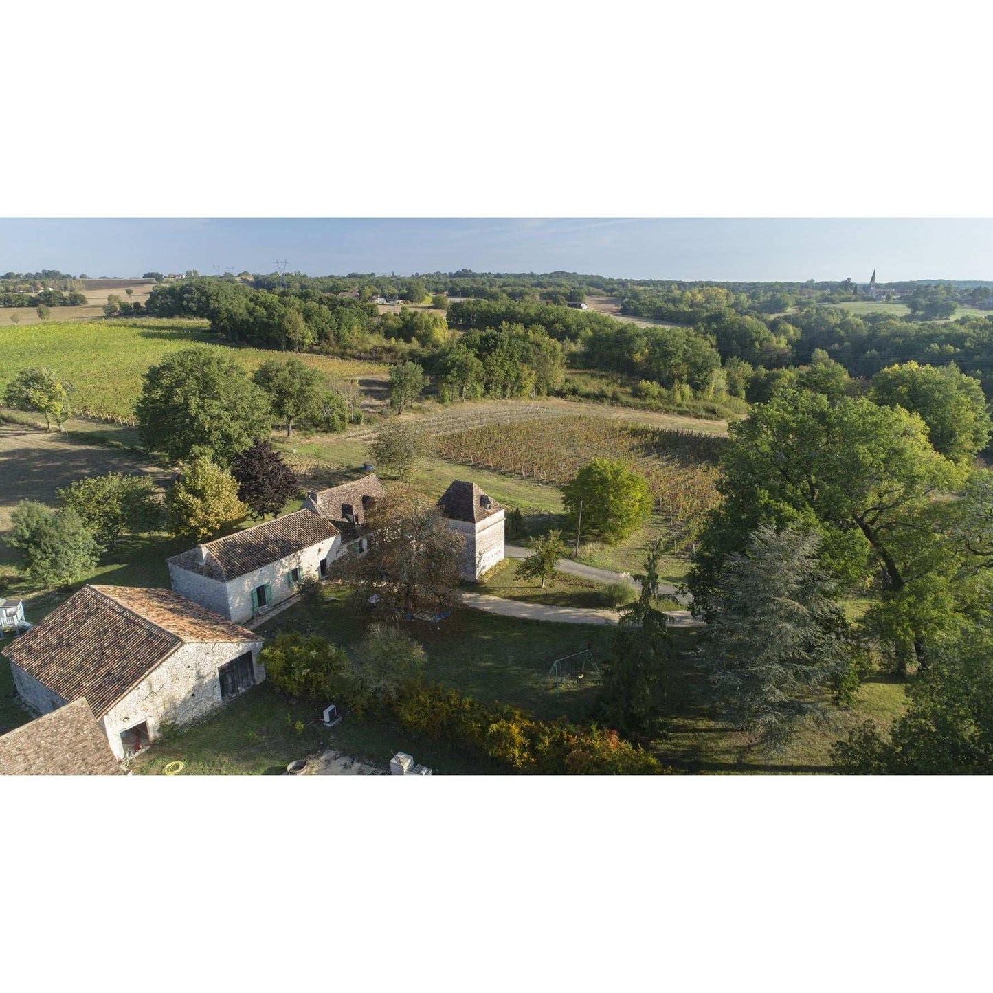 AOP Le Clos du Breil 2023, White Bergerac - Absolute Organic Wine