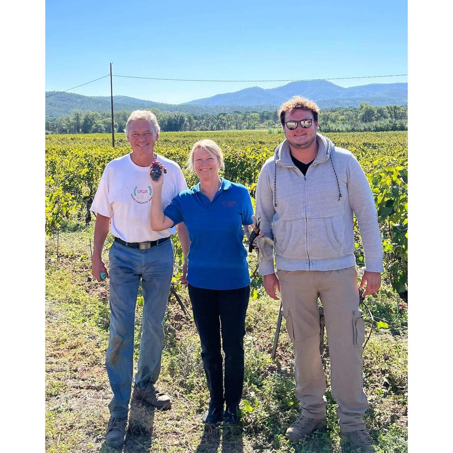 Bastide Castel d'Aille AOP Red 2021 - Absolute Organic Wine