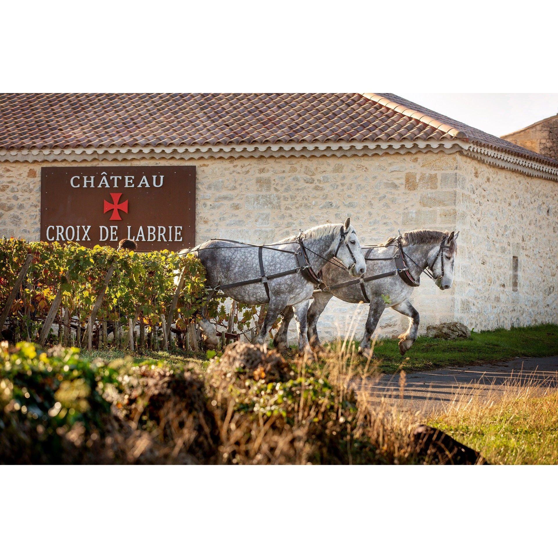 Camille de Labrie AOC Bordeaux 2022 - Absolute Organic Wine