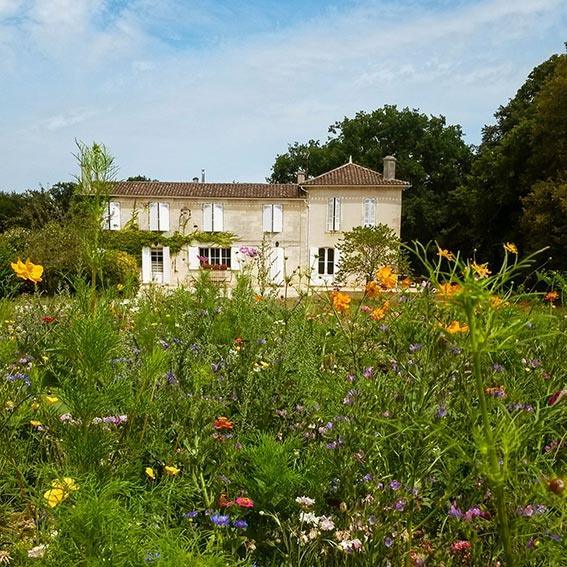 Château De Fontenille AOC Cadillac Cotes De Bordeaux - Absolute Organic Wine