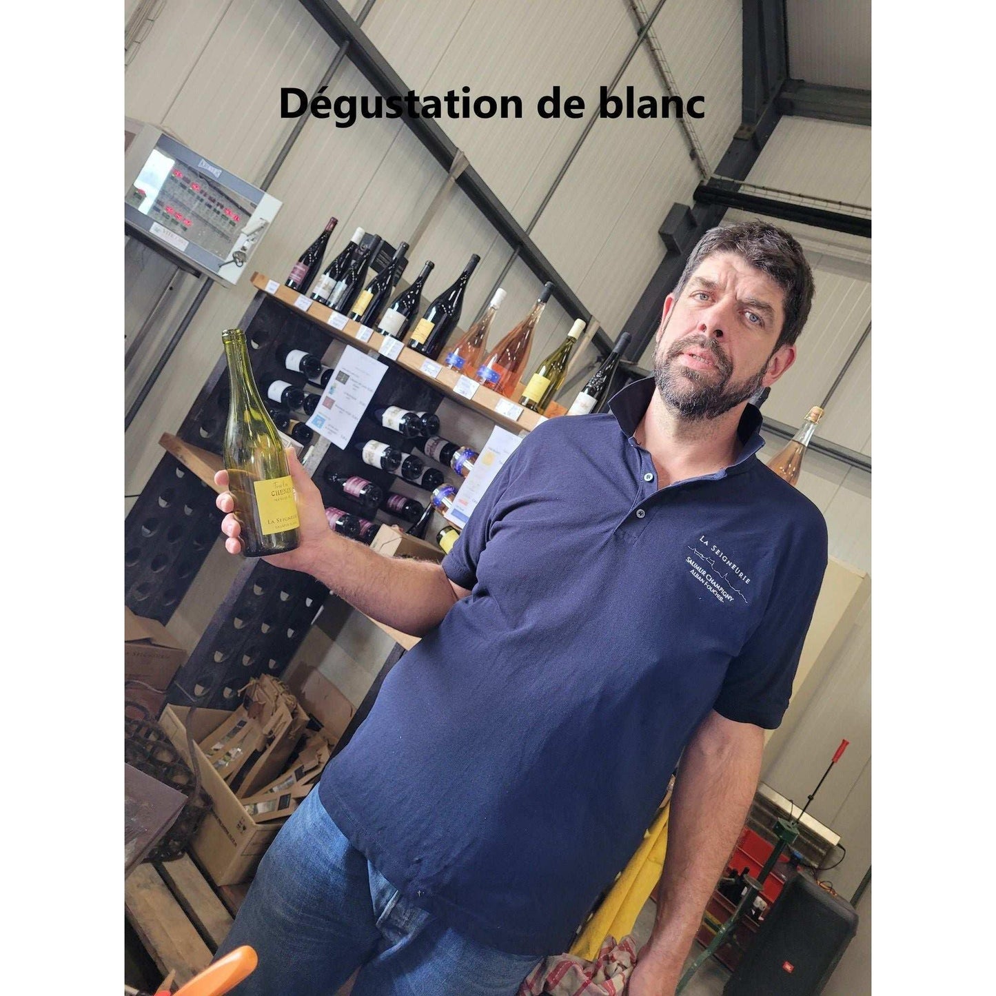 Crémant de Loire, La Seigneurie Sparkling 2022 - Absolute Organic Wine