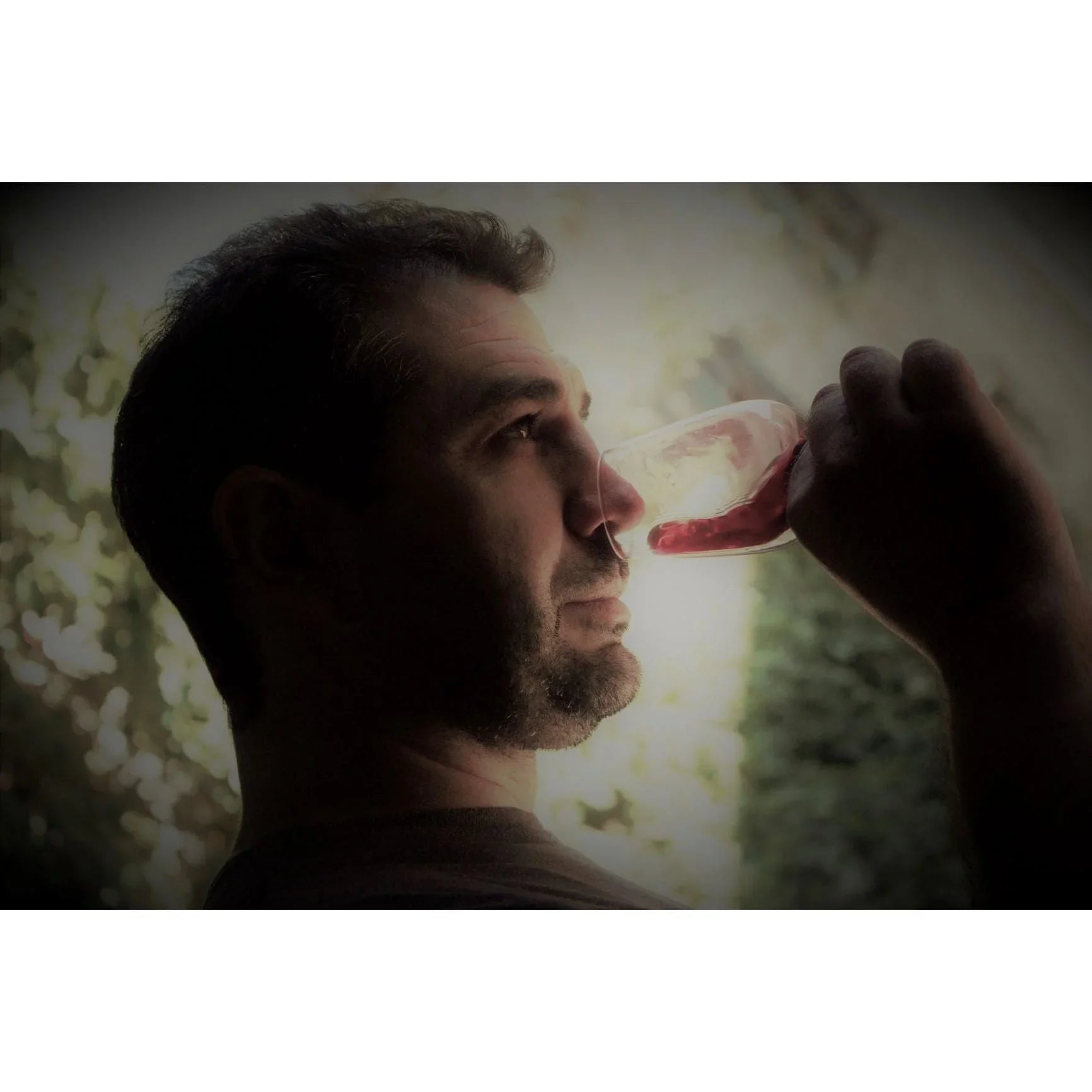 Domaine Lérys Fitou Saint Vincent 2022 - Absolute Organic Wine