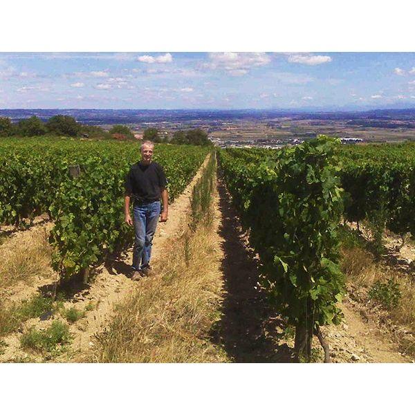 Domaine Monier Perréol · Saint Joseph Tradition 2022 AOC - Absolute Organic Wine
