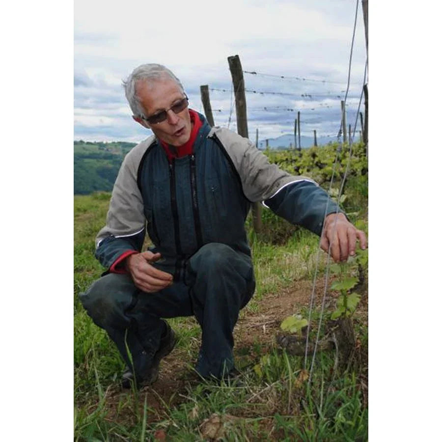Domaine Monier Perréol · Saint Joseph Tradition 2022 AOC - Absolute Organic Wine