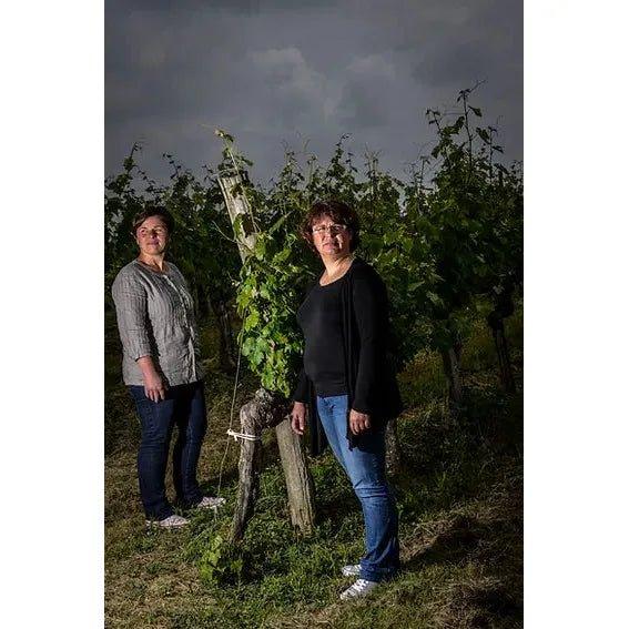 Domaine Sergent, Madiran Tradition 2018 - Absolute Organic Wine