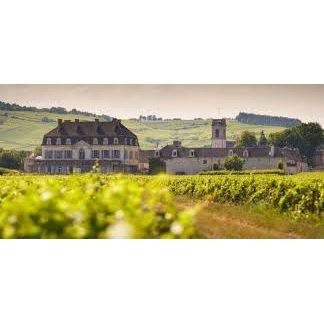 Domaine Vaudoisey - Creusefond Pommard Charmots First Growth 2022 - Absolute Organic Wine