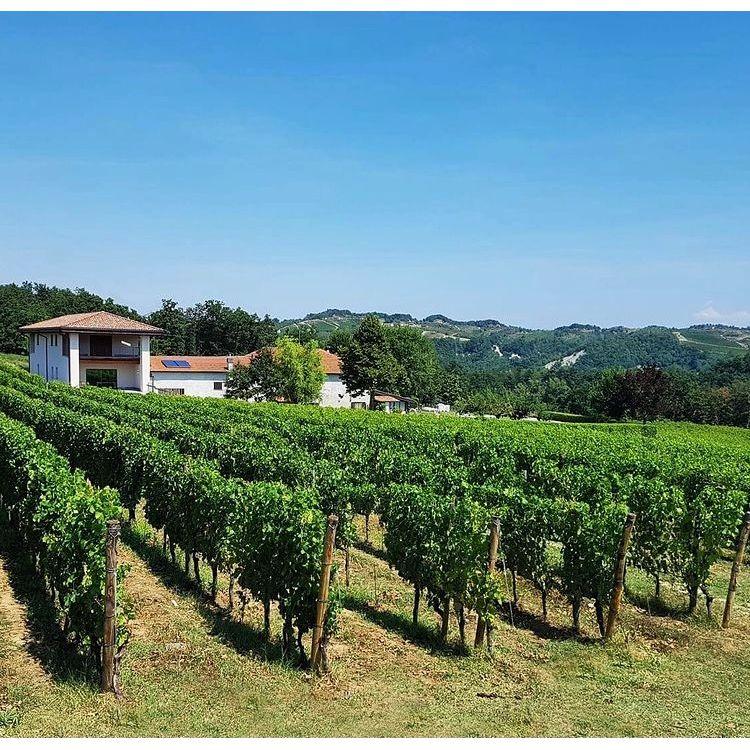 Giordano Lombardo Gavi D.O.C.G. 2024 - Absolute Organic Wine