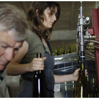 Hauts - Jarrons Savigny - les - Beaune 1er Cru | Louis Chenu Burgundy - Absolute Organic Wine