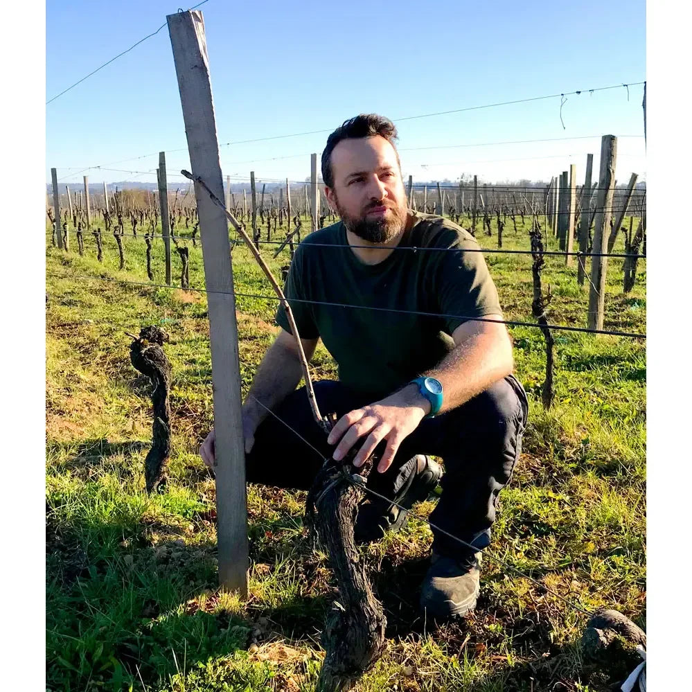 Bellegraves Lalande De Pomerol Terrasses 2015 - Absolute Organic Wine
