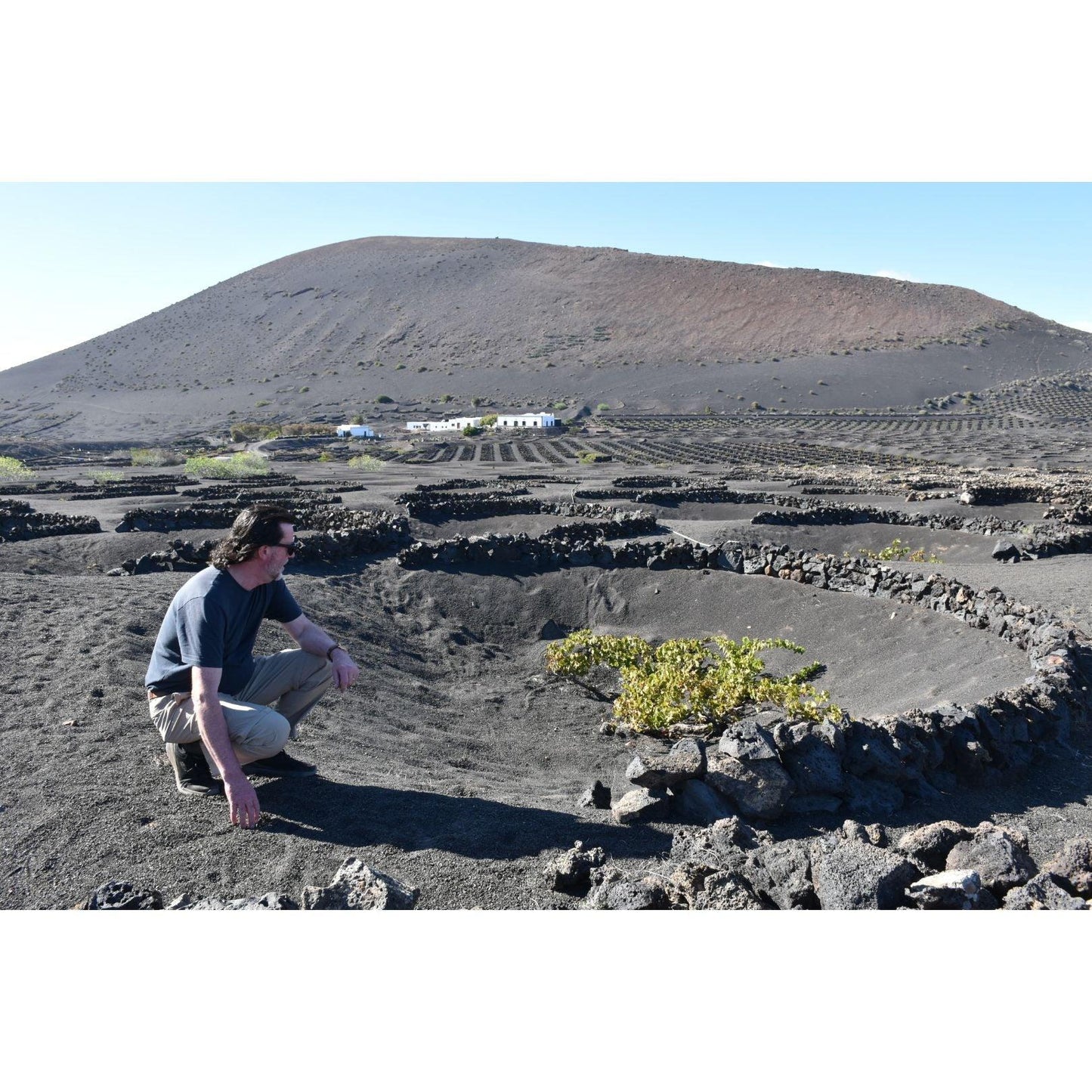 La Diego 2022 Jable de Tao Lanzarote White Wine - Absolute Organic Wine