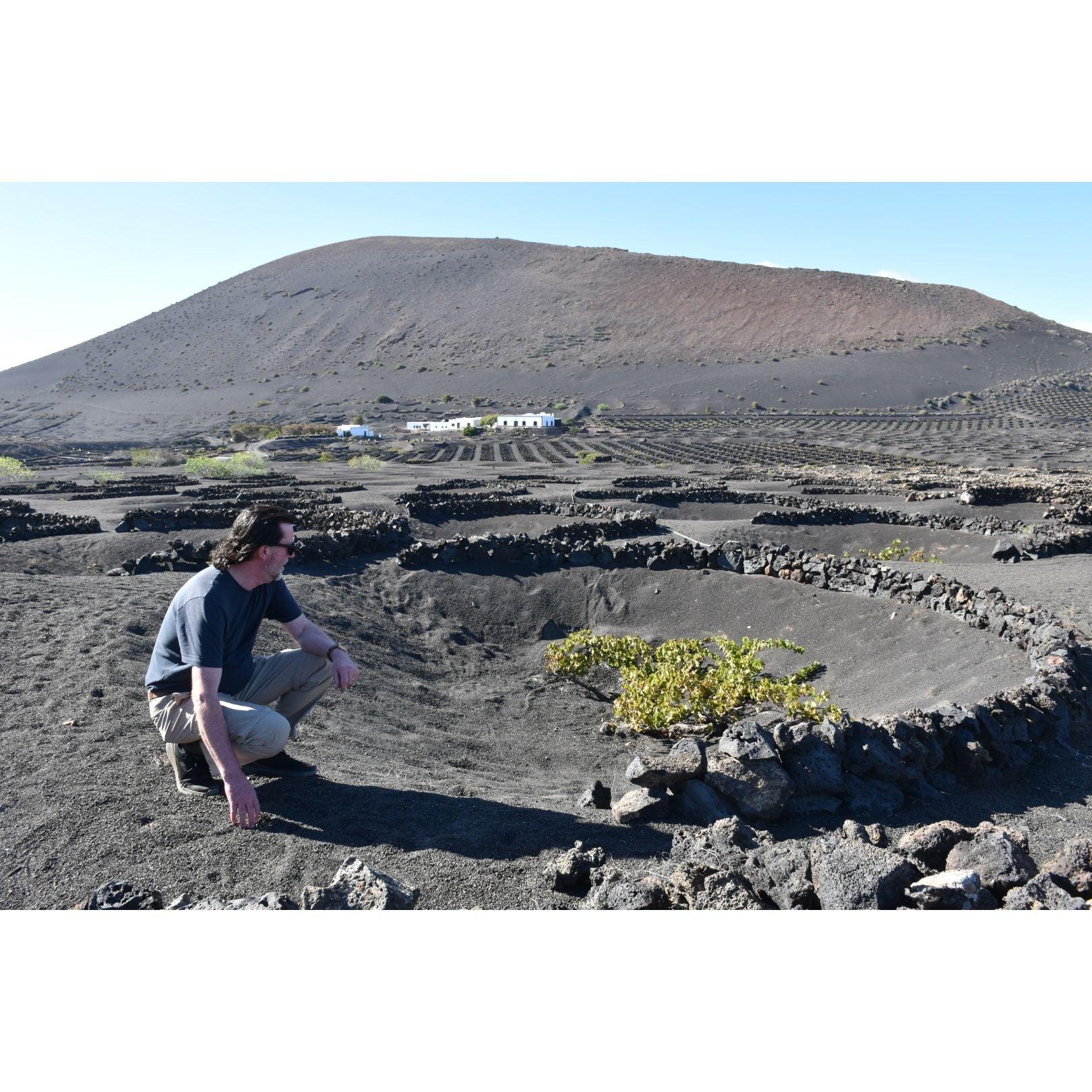 La Diego 2022 Jable de Tao Lanzarote White Wine - Absolute Organic Wine