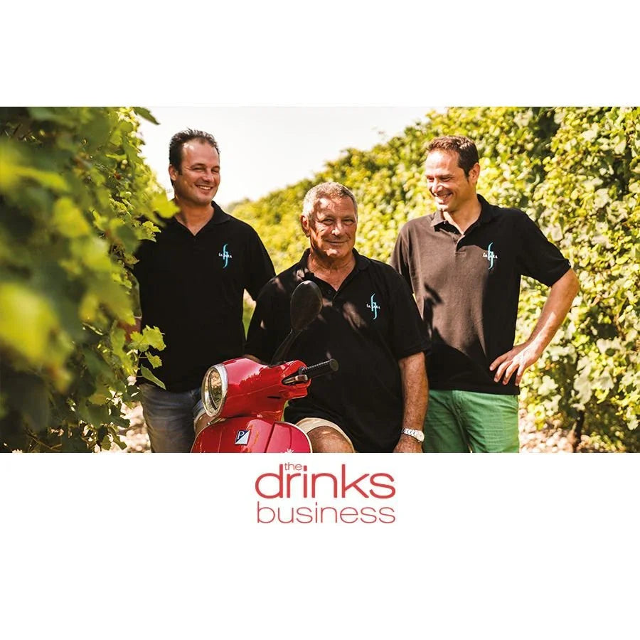 La Jara Prosecco Frizzante Organic - Absolute Organic Wine