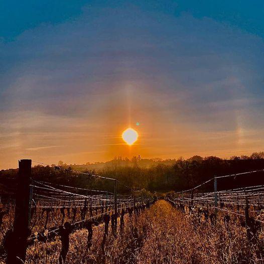 Vignobles Bourceau Folie Rouge Malbec 2021 - Absolute Organic Wine