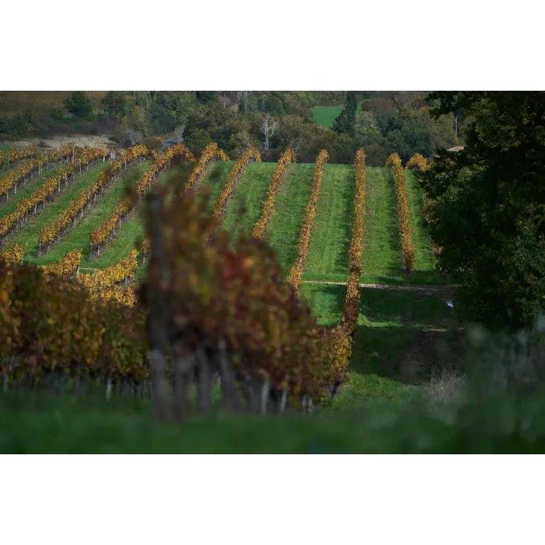 2018 Chateau La Peyruche Eleve en Fut de Chene, Cotes de Bordeaux, France-www.absoluteorganicwine.com