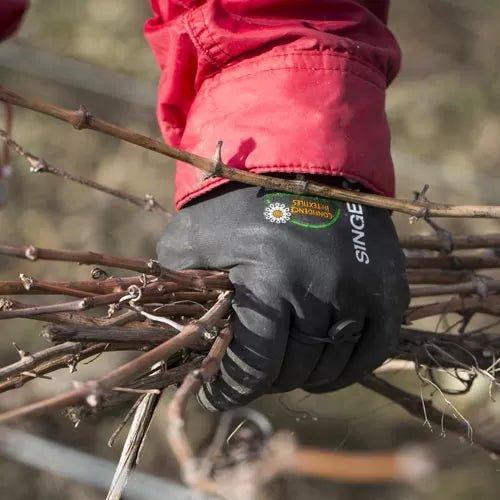 Domaine Bertrand Crémant de Bourgogne - Absolute Organic Wine