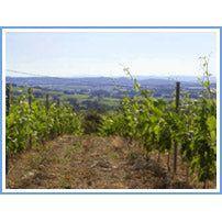 Domaine La Guintrandy Gigondas Rhone 2020 - Absolute Organic Wine