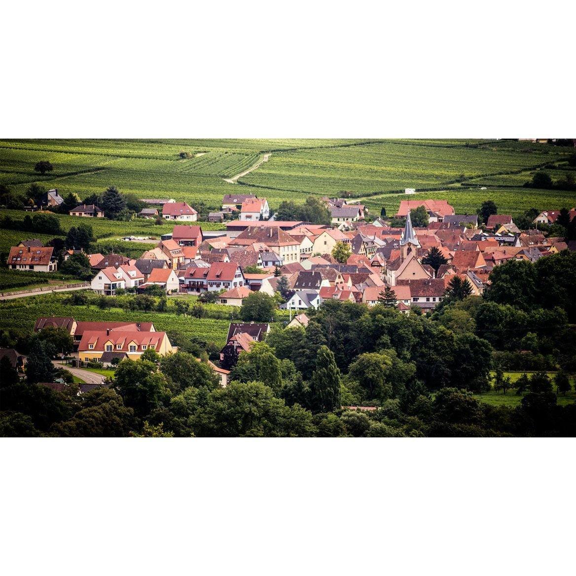 Domaine Régin Riesling Grand Cru “Altenberg de Wolxheim 2022 - Absolute Organic Wine
