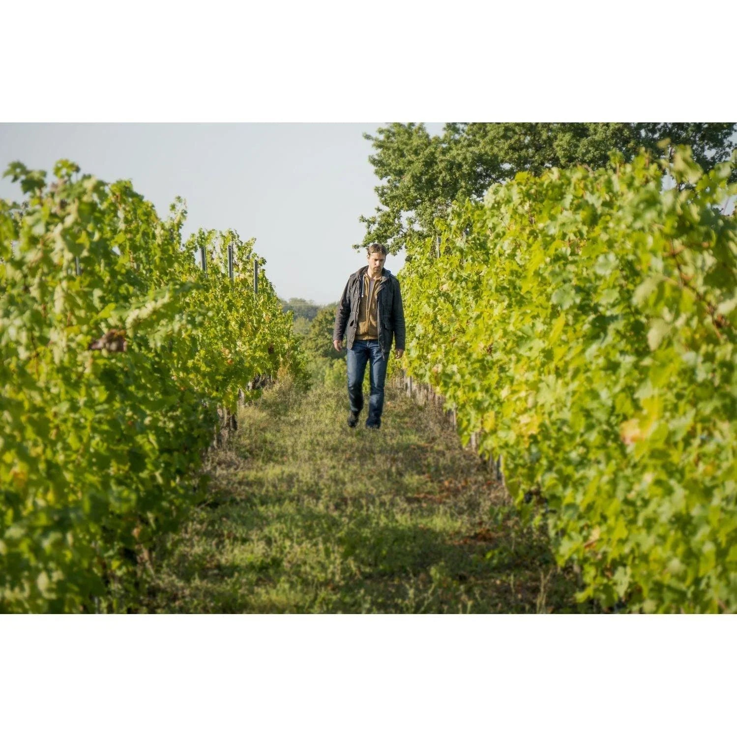 Le Clos du Breil 2021 Red Bergerac - Absolute Organic Wine