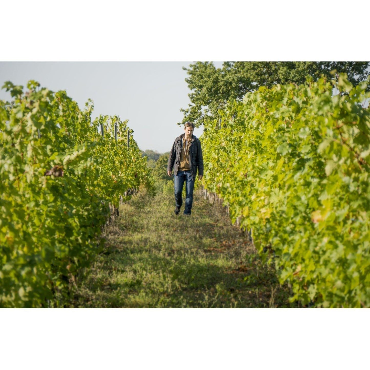 Le Clos du Breil 2021 Red Bergerac - www.absoluteorganicwine.com