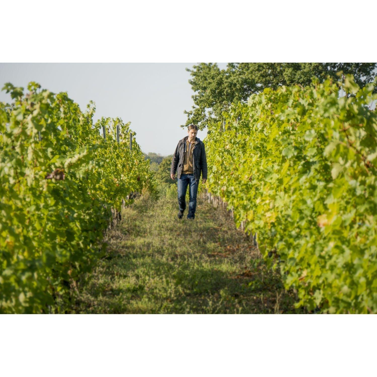 Le Clos du Breil 2021 Red Bergerac - www.absoluteorganicwine.com